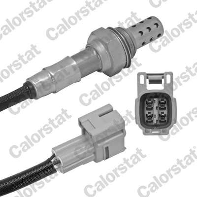 Oxygen Sensor